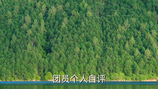 團員個人自評，團員個人自評