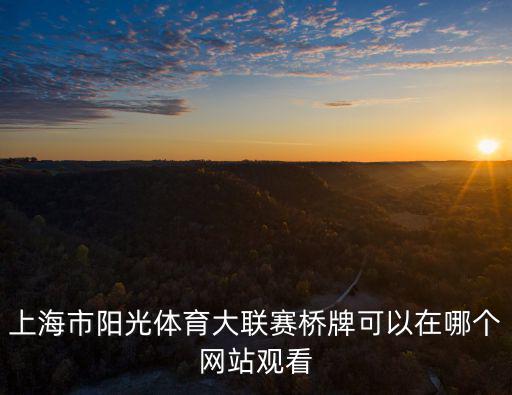 上海市陽光體育大聯賽板球，上海市黃浦區陽光體育大聯賽是市級比賽嗎