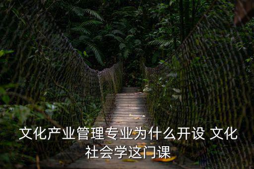  文化產業(yè)管理專業(yè)為什么開設 文化 社會學這門課