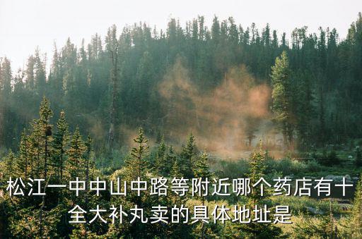 松江一中中山中路等附近哪個藥店有十全大補丸賣的具體地址是