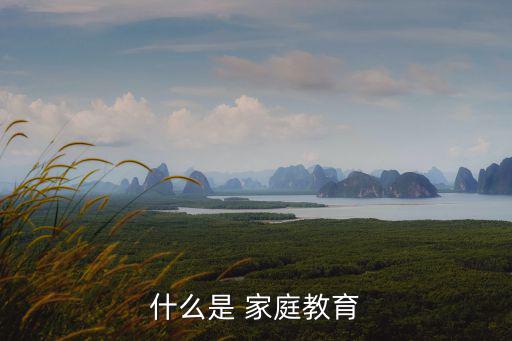 什么是 家庭教育