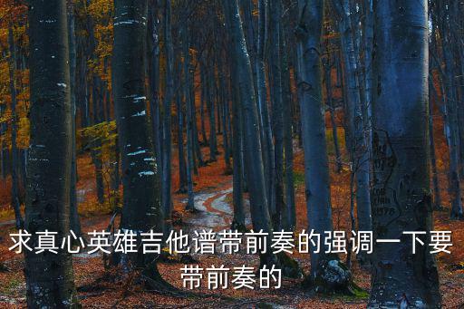 求真心英雄吉他譜帶前奏的強(qiáng)調(diào)一下要帶前奏的