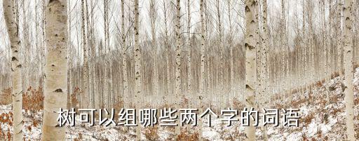 樹可以組哪些兩個字的詞語