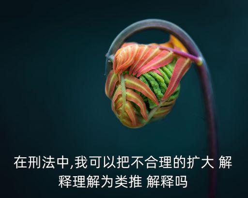 在刑法中,我可以把不合理的擴大 解釋理解為類推 解釋嗎