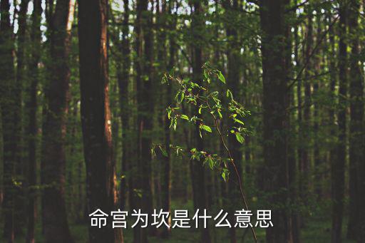 命宮為坎是什么意思