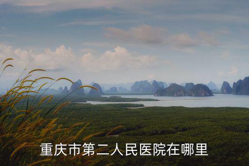 重慶市第二人民醫院在哪里