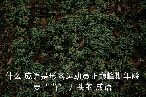 當字開頭的成語,關于這個成語你必須知道的東西