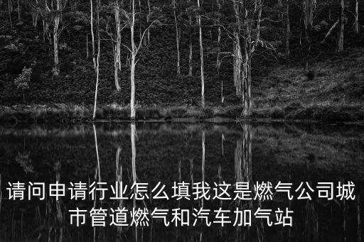 請問申請行業(yè)怎么填我這是燃氣公司城市管道燃氣和汽車加氣站