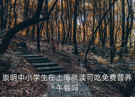 崇明中小學生在上海就讀可吃免費營養午餐嗎