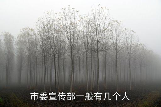 市委宣傳部一般有幾個人