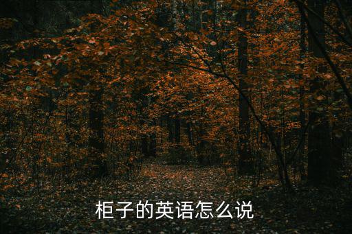 柜子的英語怎么說