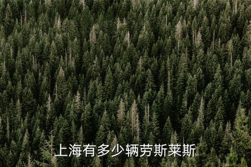 上海市機(jī)動(dòng)車有多少輛，上海這個(gè)城市到底有多少輛私家車
