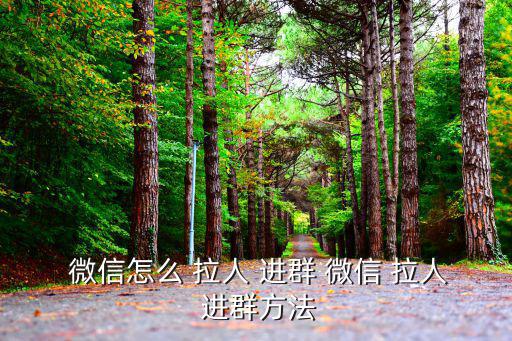 微信如何拉人進群,微信群體如何踢人?看這里!