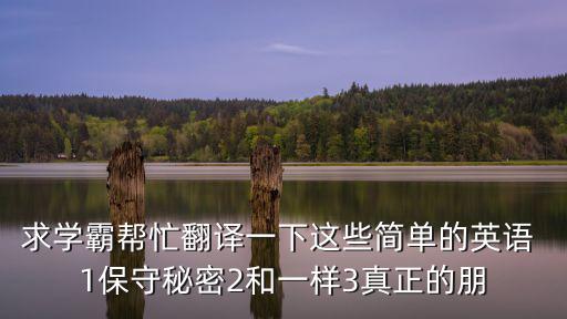 求學霸幫忙翻譯一下這些簡單的英語 1保守秘密2和一樣3真正的朋