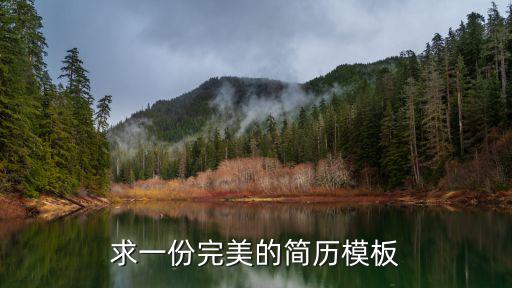 求一份完美的簡歷模板