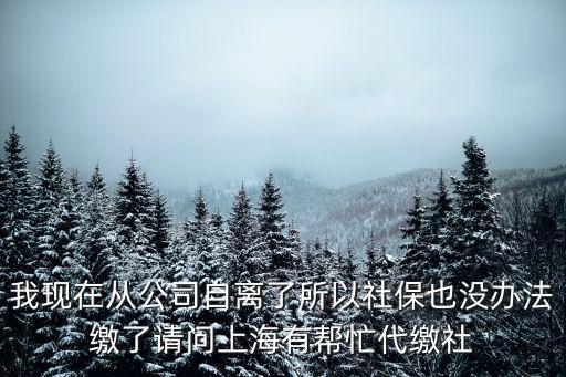 我現在從公司自離了所以社保也沒辦法繳了請問上海有幫忙代繳社