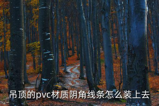吊頂的pvc材質陰角線條怎么裝上去