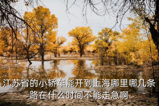江蘇省的小轎車能開到上海哪里哪幾條路在什么時間不能走急啊