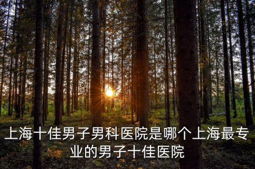 上海男科醫院排名前十，上海十佳男子男科醫院是哪個上海最專業的男子十佳醫院
