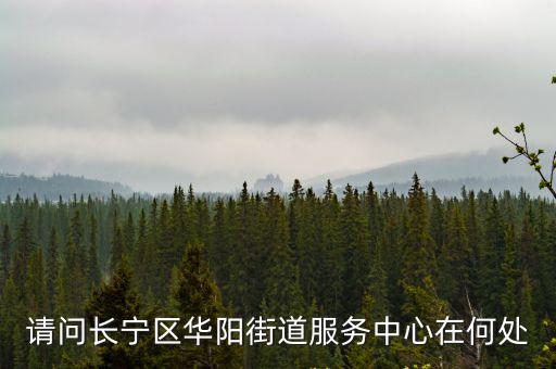 上海市長寧區華陽街道辦事處官網，請問長寧區華陽街道服務中心在何處
