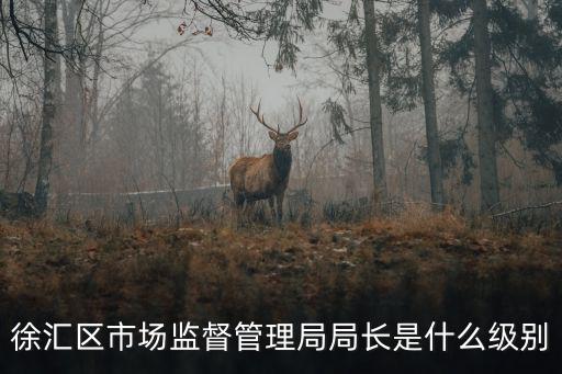徐匯區(qū)市場監(jiān)督管理局局長是什么級別