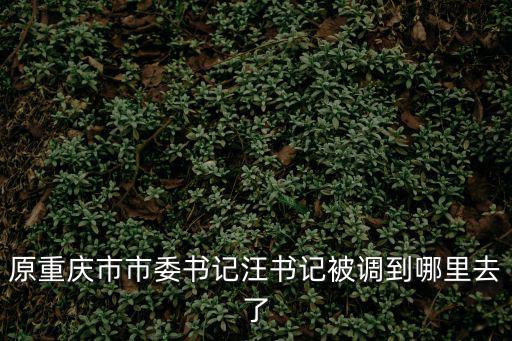 重慶市委2017年市委書記，重慶現在的市委書記和市長分別是那個