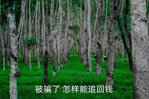 被騙了怎么追回錢款，詐騙款項如何追回