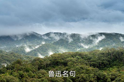魯迅名句
