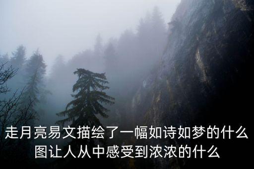 感悟圖片，誰有比較有感覺的圖片