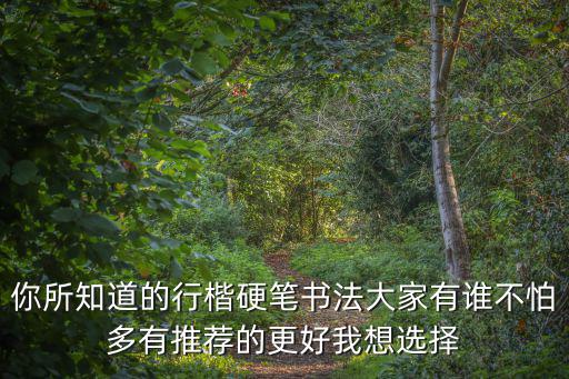 你所知道的行楷硬筆書法大家有誰不怕多有推薦的更好我想選擇