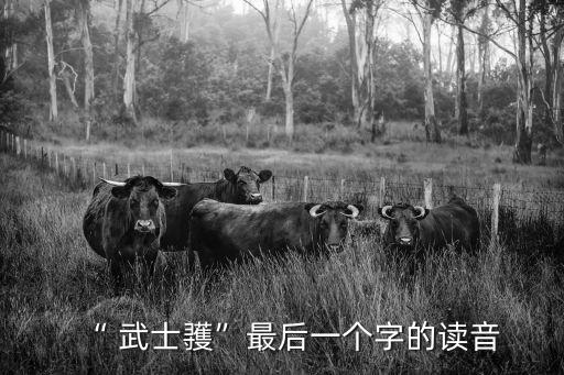 武士彟,武士元是武則天皇后的父親