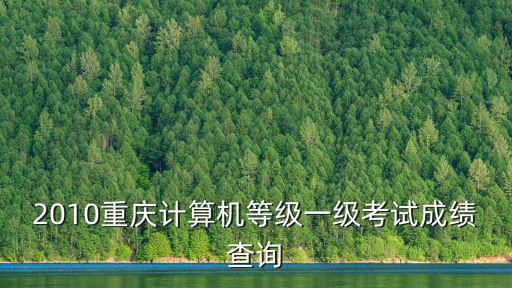 2010重慶計算機等級一級考試成績查詢