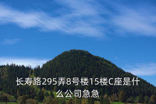 上海市祥先實業，長壽路295弄8號樓15樓C座是什么公司急急