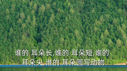 耳朵尖,耳朵耳垂又大又厚是福氣還是禍害?