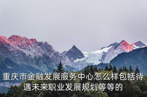 重慶市金融發(fā)展服務(wù)中心怎么樣包括待遇未來職業(yè)發(fā)展規(guī)劃等等的