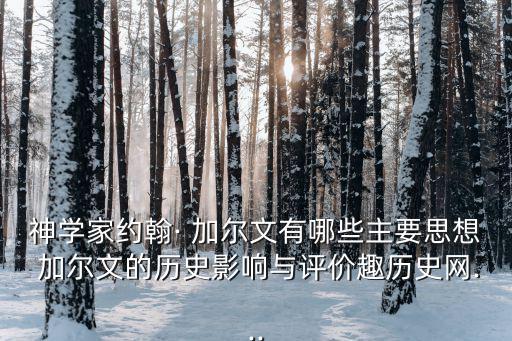 加爾文,加爾文教派創始人提出預定論反對分裂