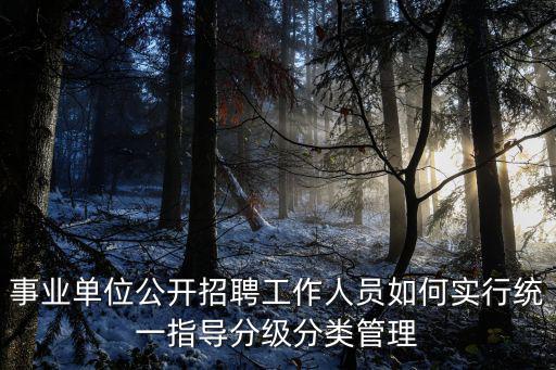 事業單位公開招聘工作人員如何實行統一指導分級分類管理