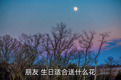 朋友生日送什么花