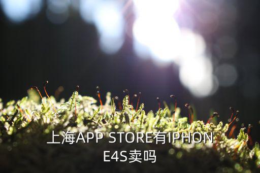 上海APP STORE有IPHONE4S賣嗎