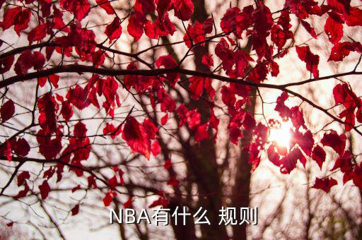 NBA規則,首屆全明星賽:拜仁大破馬里奧納維奇不相遇