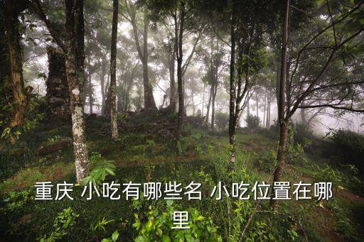  重慶 小吃有哪些名 小吃位置在哪里