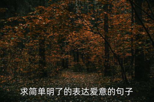 求簡單明了的表達愛意的句子