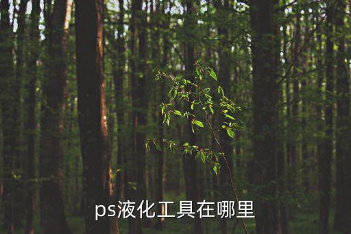 ps液化工具在哪里