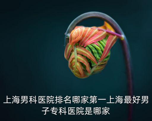 上海男科醫(yī)院排名哪家第一上海最好男子專科醫(yī)院是哪家