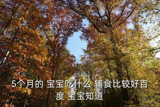 5個月的 寶寶吃什么 輔食比較好百度 寶寶知道