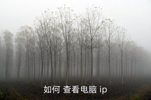 如何 查看電腦 ip