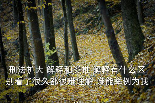 刑法擴大 解釋和類推 解釋有什么區(qū)別看了很久都很難理解,誰能舉例為我...