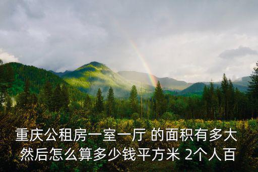 重慶公租房一室一廳 的面積有多大 然后怎么算多少錢平方米 2個人百