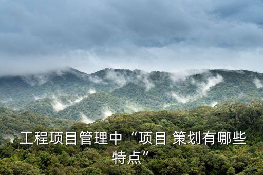 工程項目策劃,項目實施策劃