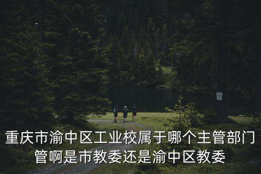 重慶市渝中區(qū)工業(yè)校屬于哪個主管部門管啊是市教委還是渝中區(qū)教委